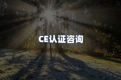 CE认证咨询