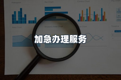 加急办理服务